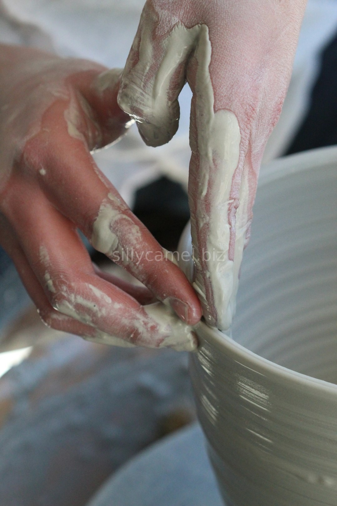 Artisan Detail