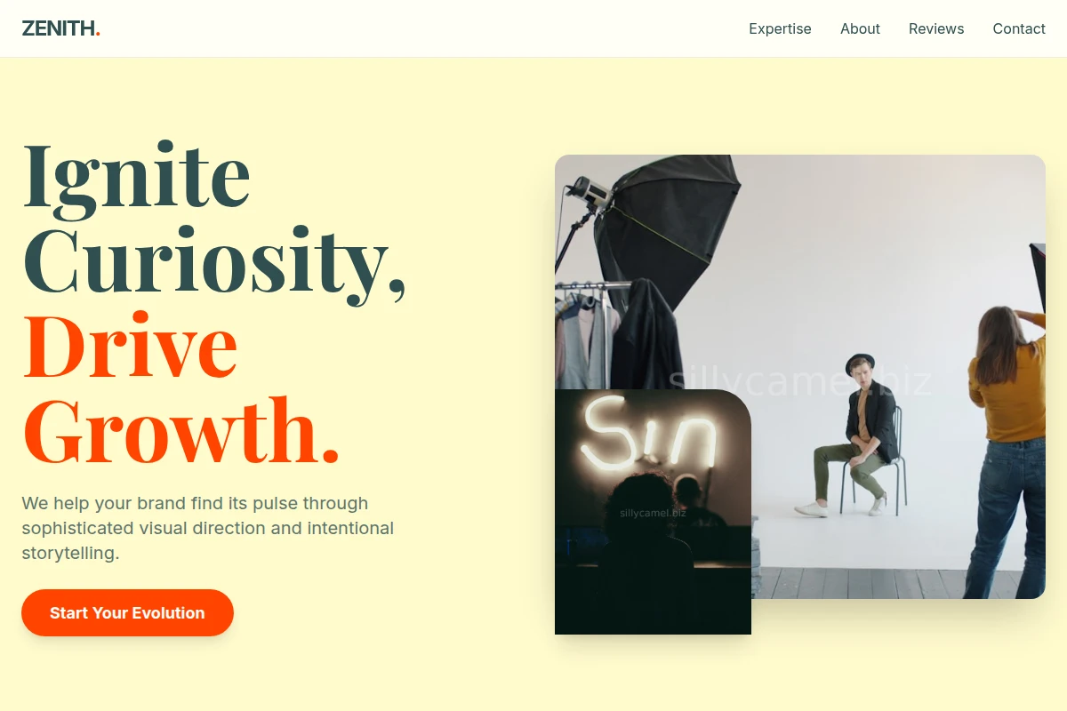 Zenith Creative Direction