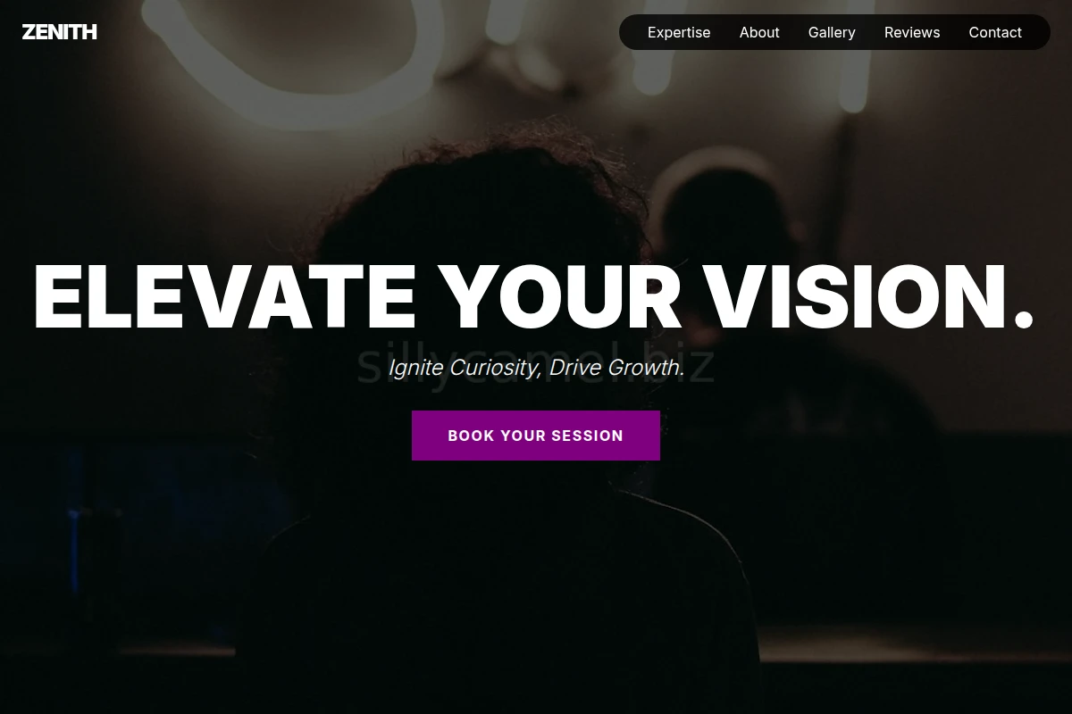 Zenith Creative Direction