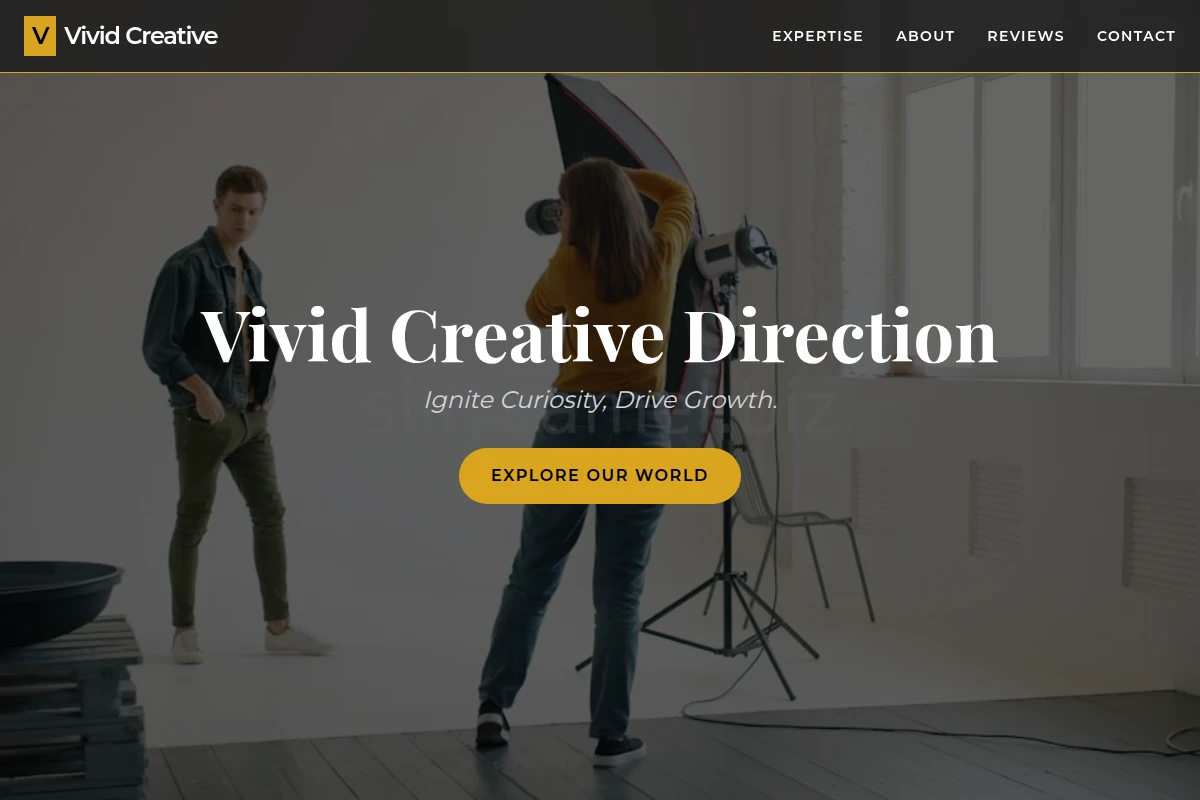 Vivid Creative Direction