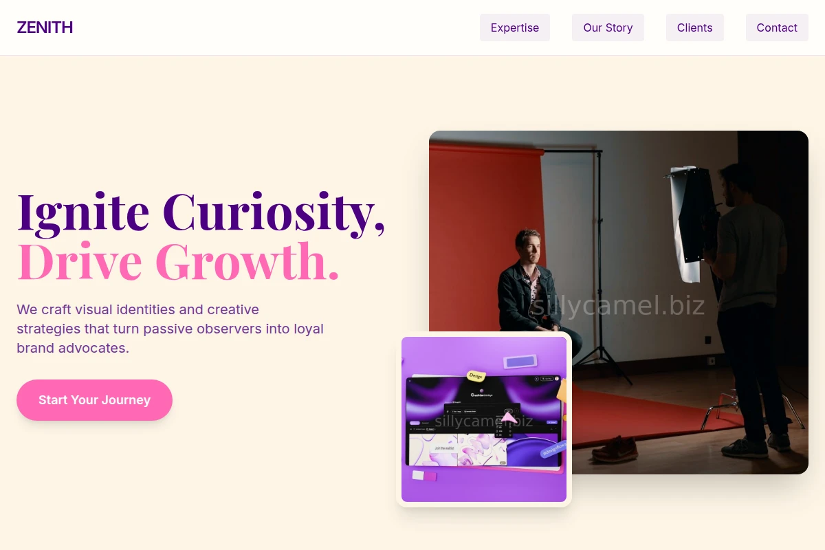 Zenith Creative Direction